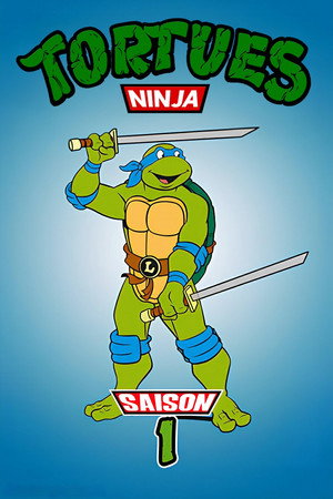 Les Tortues Ninja - Saison 1 - poster n°4