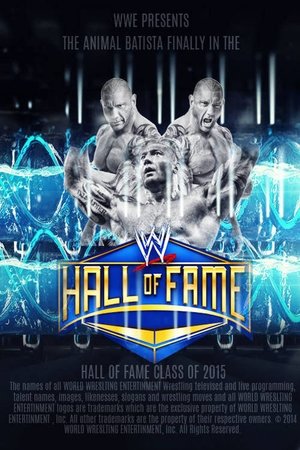 Image WWE Hall of Fame