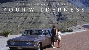 The Pineapple Thief: Your Wilderness