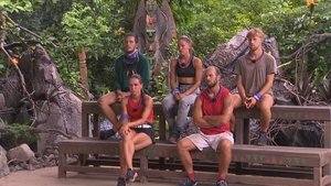 Episode 33