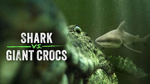 Shark vs. Giant Croc 1