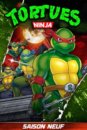 Les Tortues Ninja - Saison 9 - poster n°1