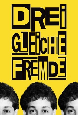 Poster Drei Gleiche Fremde 2018