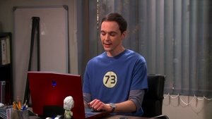 The Big Bang Theory 6×9