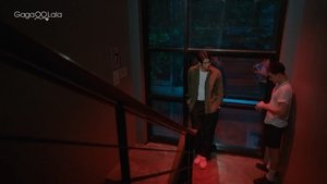 The Luminous Solution: 1×1