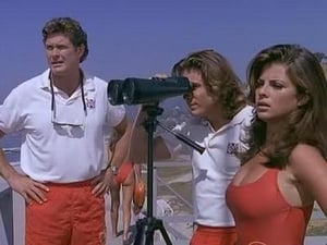 Baywatch Beauty and the Beast