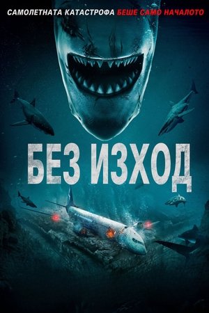 Image Без изход