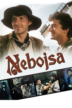 Poster Nebojsa 1989