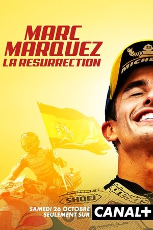 Image Marc Marquez, la résurrection