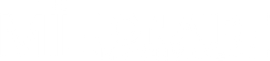 The Millionaire Matchmaker