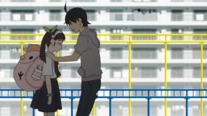 Monogatari: 1×5