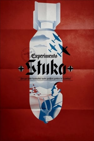 Image Experiment Stuka