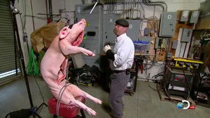 Pogromcy mitów: s9e6