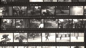 Fragmentos rebelados (2018)