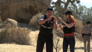 CSI: Crime Scene Investigation: 8×1