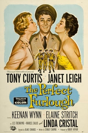 watch-The Perfect Furlough