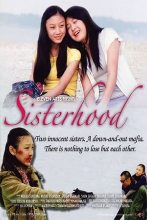 Poster Sisterhood (2008)