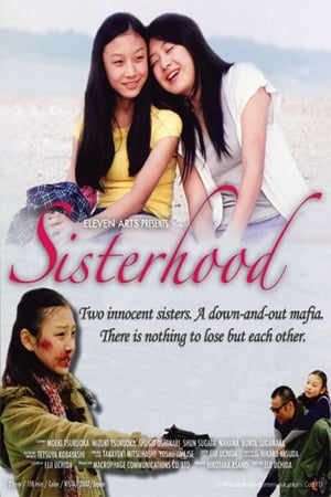 Poster Sisterhood 2008