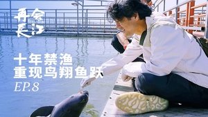 Episodio 8