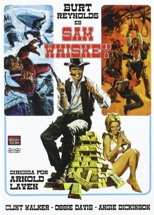 pelicula Sam Whiskey (1969)