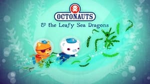 Octonauts The Leafy Sea Dragons