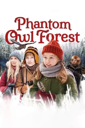 Image Phantom Owl Forest