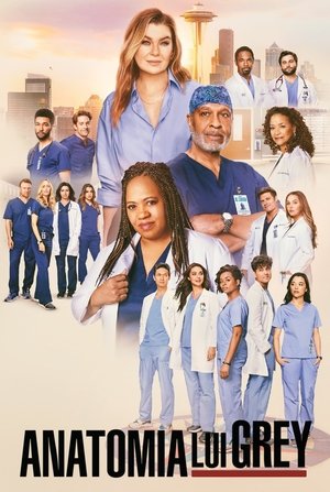 poster Grey's Anatomy