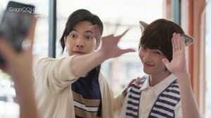 Meow Ears Up!: 1×1