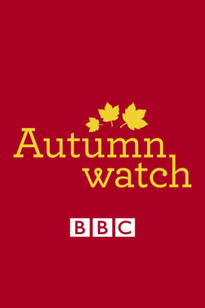 Autumnwatch poster