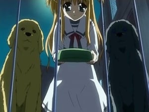 Mahou Shoujo Lyrical Nanoha: 1×10