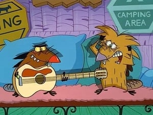 The Angry Beavers Stare and Stare Alike