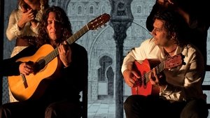 Flamenco Flamenco