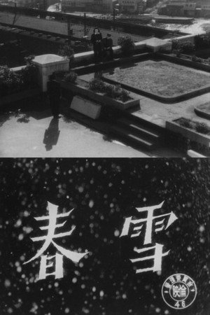Spring Snow 2