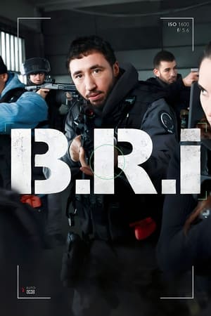 B.R.I: Staffel 1