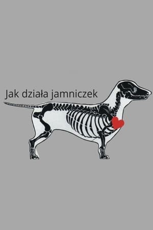 Image Jak działa jamniczek