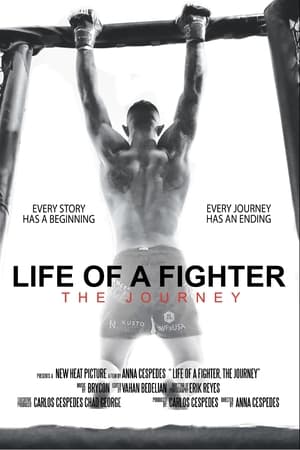 Poster di Life of a Fighter: The Journey