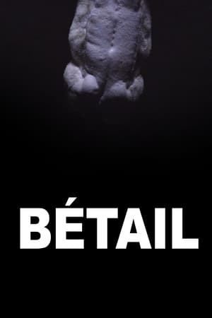 Poster di Bétail