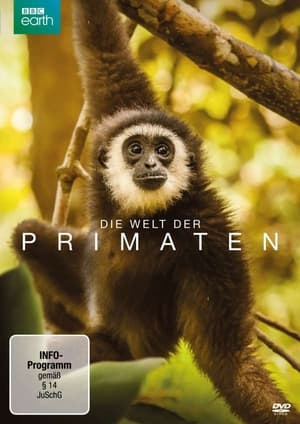 Image Die Welt der Primaten