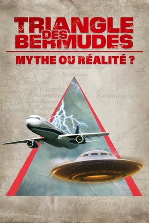 Le Triangle des Bermudes - du Mythe à la Réalité (2014)
