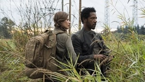 Colony: Stagione 3 x Episodio 3