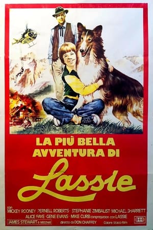 La più bella avventura di Lassie