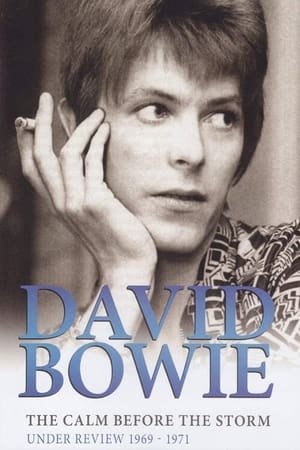 Poster David Bowie - The Calm Before The Storm: Under Review 1969 - 1971 2012