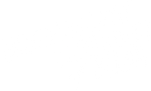 Broadway Melody of 1938