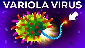 Kurzgesagt - In a Nutshell The (Second) Most Deadliest Virus on Earth