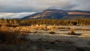 Arctic Daughter: A Lifetime of Wilderness