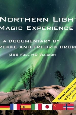 Poster Northern Lights: A Magic Experience 2015