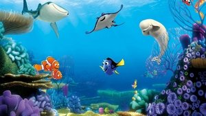 การ์ตูน Finding Dory (2016) ผจญภัยดอรี่ขี้ลืม [Full-HD]