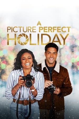Poster for A Picture Perfect Christmas (2021)