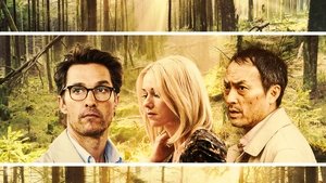 La foresta dei sogni (2016)