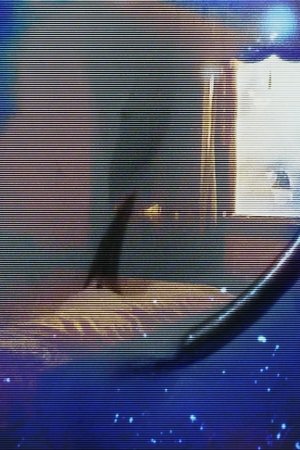 the house was there before me (2025)